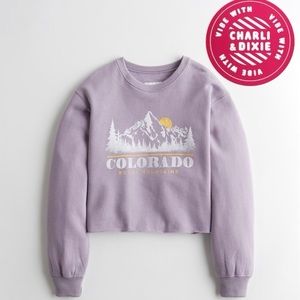 Hollister, Size: M , cropped lavender crewneck